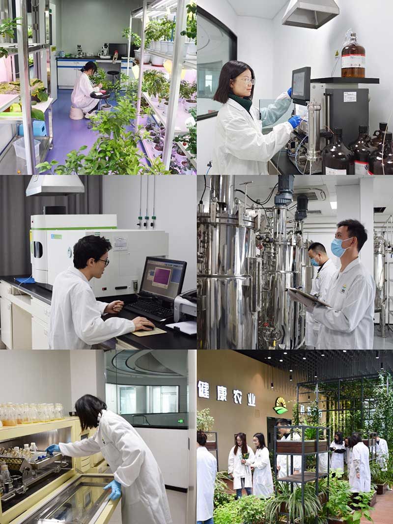 “全國科技工作者日”:推動農業(yè)綠色高質量發(fā)展,新朝陽科研人在路上