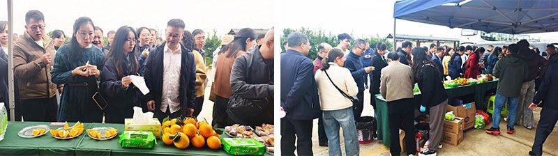 新朝陽(yáng)生物技術(shù)助力綠色防控，推動(dòng)柑橘產(chǎn)業(yè)綠色高質(zhì)量發(fā)展